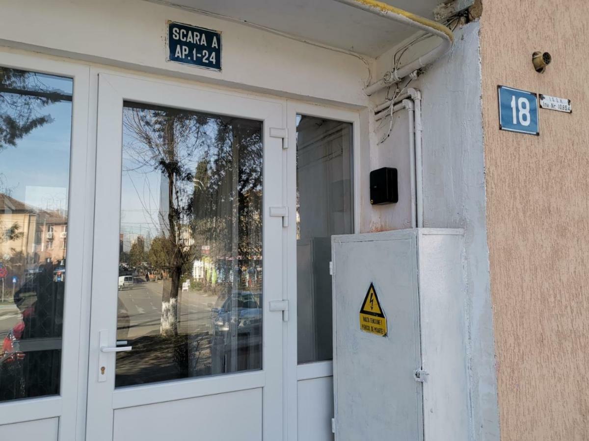 Central Studio Хунедоара Екстериор снимка