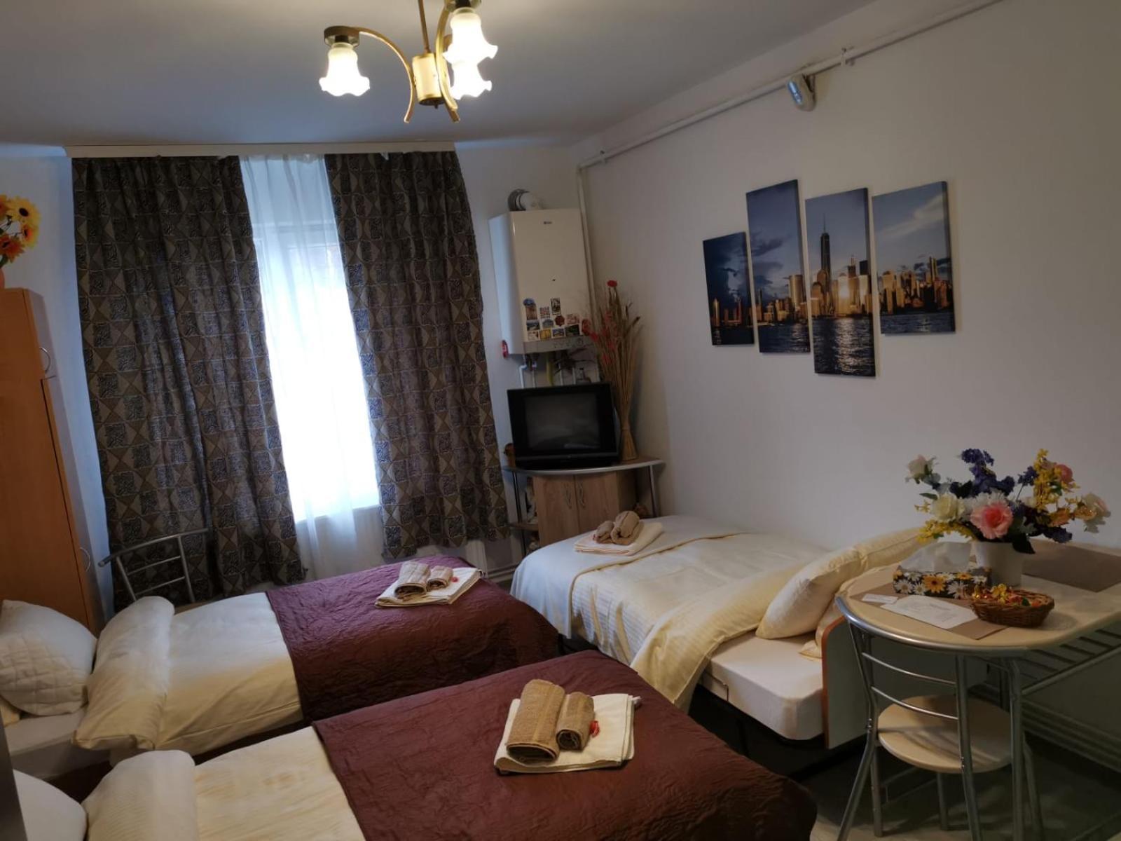 Central Studio Хунедоара Екстериор снимка
