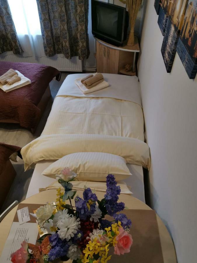Central Studio Хунедоара Екстериор снимка